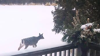 Staying by the Lakeside Cottages