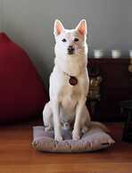 Hotelarrive taean tiann hanokbeachresort