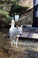 Hotelarrive taean tiann hanokbeachresort