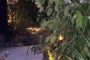 a Stunning and Cosy Character cob Cottage C1750