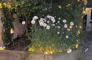 a Stunning and Cosy Character cob Cottage C1750