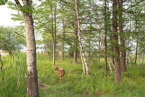 Community Beach Access: Modern Poconos Cabin!