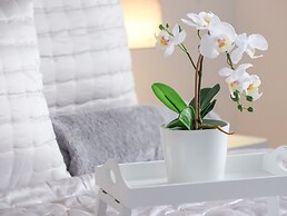 The Coastal Hideaway