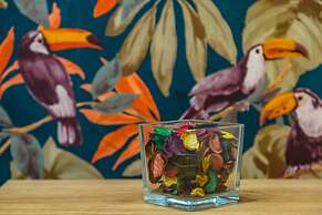 Toledo house Apartments