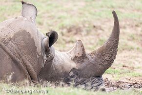 Glamping Kenya Mt. Kenya Lodge