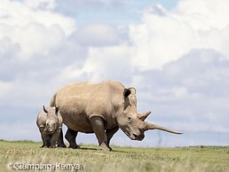 Glamping Kenya Mt. Kenya Lodge