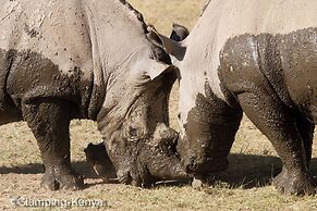 Glamping Kenya Mt. Kenya Lodge
