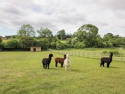 The Tunnel at Bridge Lake Farm and Fishery