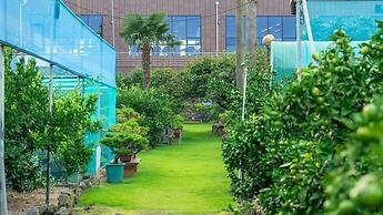 Jeju Jeonwonsaenghwal Diorem Pension