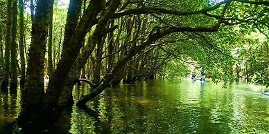 MORIYA iriomote HOTEL