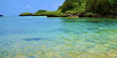 MORIYA iriomote HOTEL