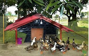 Modhubon Agro Tourism