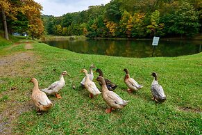 Serene Fancy Gap Cabin Retreat in Private Setting!