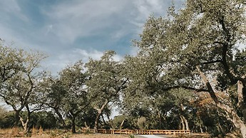 The Cedars Ranch