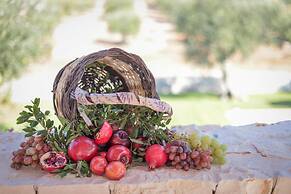 TD Trulli Lorusso Design Luxury Trulli With Pool