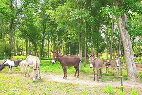 Waterfront Benson Retreat: Rescue Farm w/ a Lake!