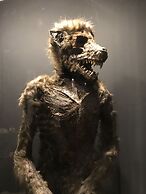 Anettes Bed & Breakfast Falster