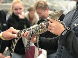 Anettes Bed & Breakfast Falster