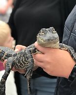 Anettes Bed & Breakfast Falster