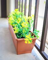 Pr Pvt Rm 5 Qn Bed Gated Comm Easy Parking