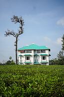 Lumino Winter Castle