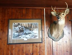 Mackinaw Timbers Cabins