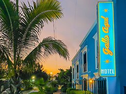 Hotel Gallo Azul Downtown Todos Santos