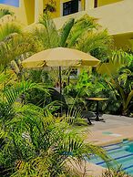 Hotel Gallo Azul Downtown Todos Santos