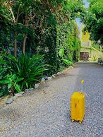 Hotel Gallo Azul Downtown Todos Santos