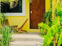 Hotel Gallo Azul Downtown Todos Santos