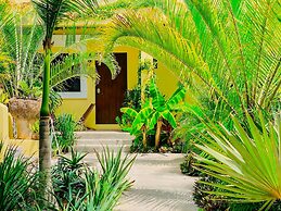 Hotel Gallo Azul Downtown Todos Santos