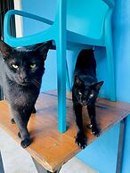 Hotel Gallo Azul Downtown Todos Santos