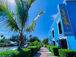 Hotel Gallo Azul Downtown Todos Santos