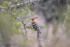 Madwaleni River Lodge - Babanango Game Reserve