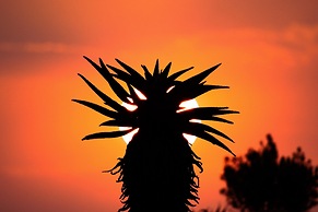 Madwaleni River Lodge - Babanango Game Reserve