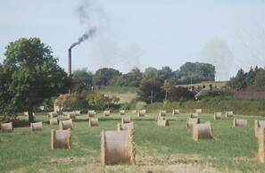 Beautifully Set 3-bed Cottage in Marlborough