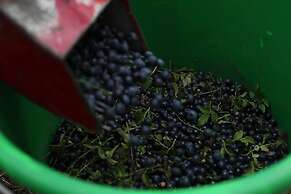 Cozy Swedish House With Fireplace & big Garden