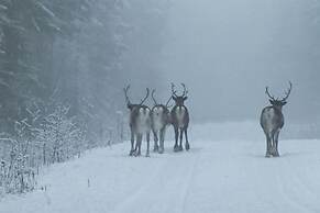 Cozy Swedish House With Fireplace & big Garden