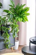 RentPlanet - Apartament Długa