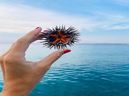 Relais Torre Chianca With Climate, Parking, Wi-fi & Panoramic Rooftop