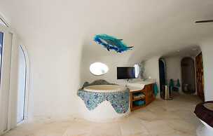 Alterhome Turtle Studio