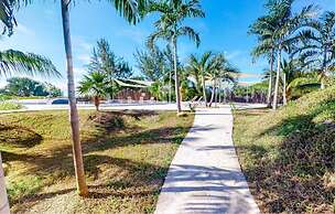 Alterhome Turtle Studio