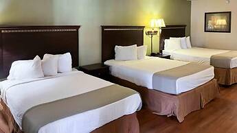 Motel 6 Abbeville, AL