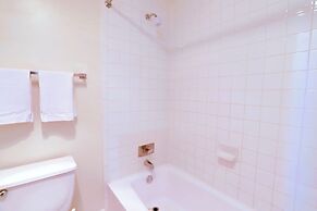 Upscale Apartments in Crystal City