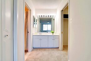 Upscale Apartments in Crystal City