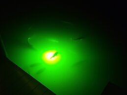 9381 Saint Paul Drive