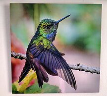 OSIMIRI apartamentos