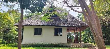 Cove House House 60 m2 Creekside Indian Ocean