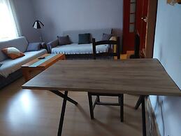 Lovely 1 1 Rental Ap In Myslym Shyri Tirana