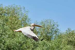 Lebada Luxury Resort & Spa